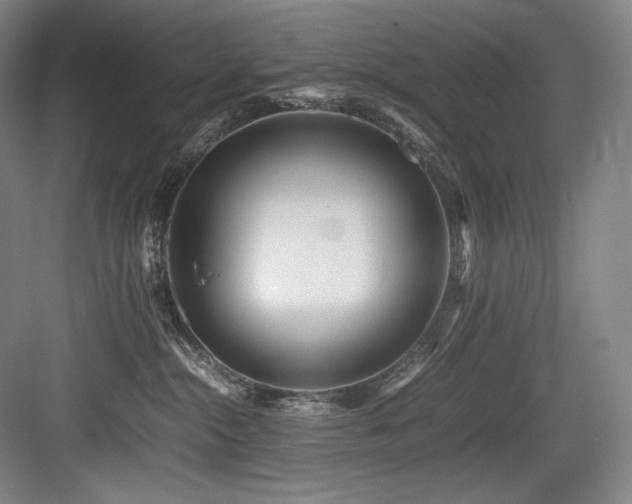 X0000083660284200702121224