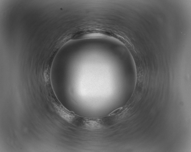X0000083660285200702121224