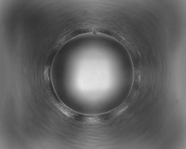 X0000083660286200702121224