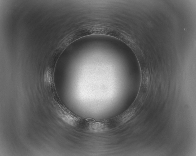 X0000083660287200702121224