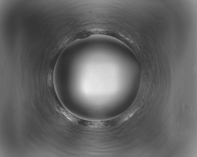 X0000083660288200702121224