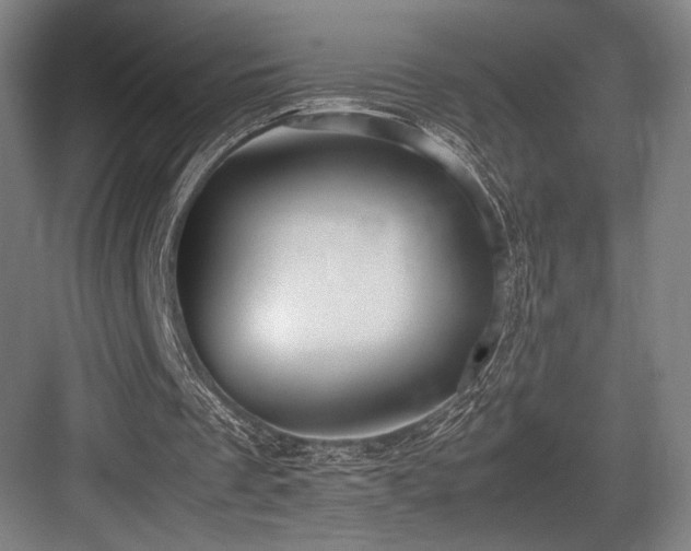 X0000083660289200702121223