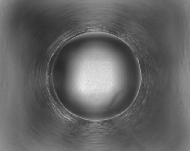 X0000083660290200702121223
