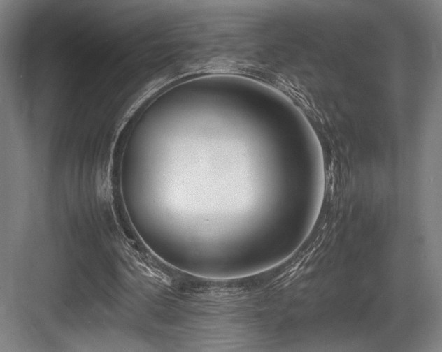 X0000083660292200702121223