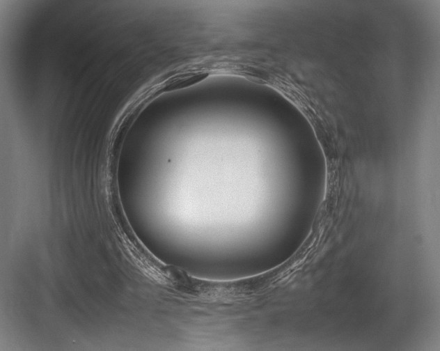 X0000083660293200702121223
