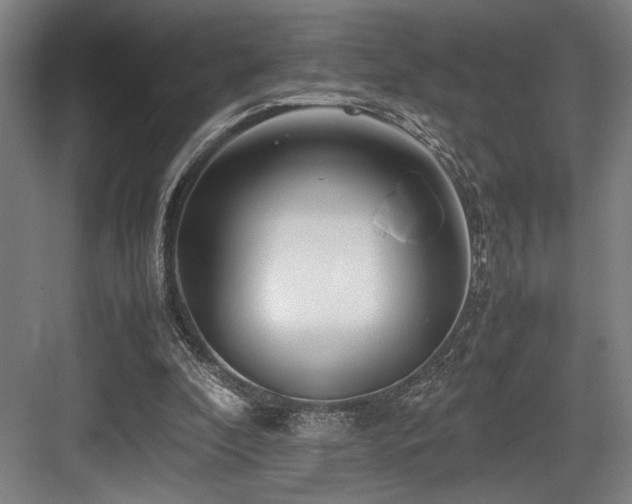 X0000083660296200702121223