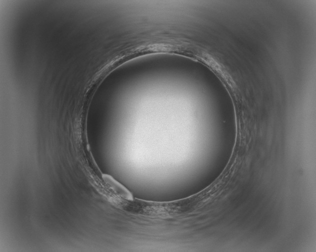 X0000083660297200702121223