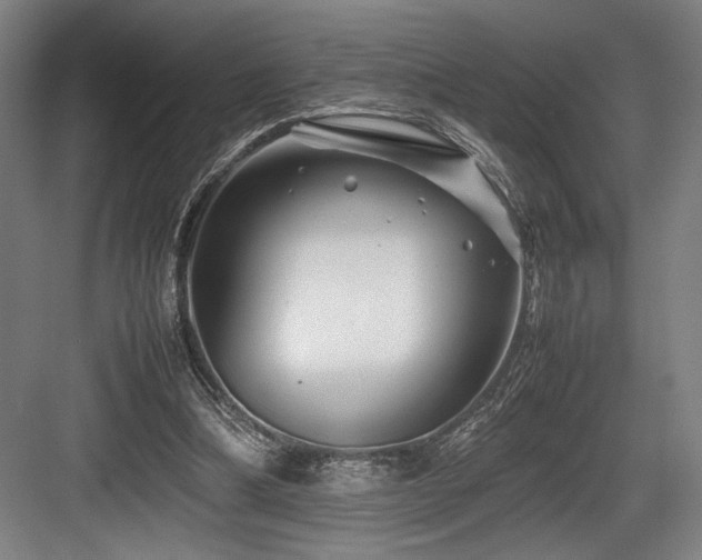 X0000083660298200702121223