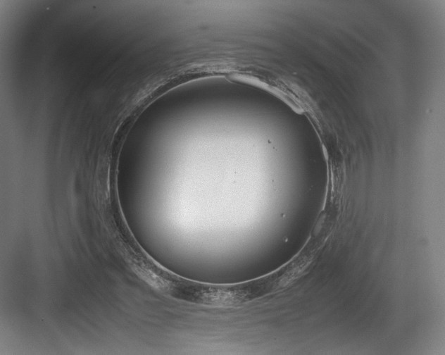 X0000083660301200702121223