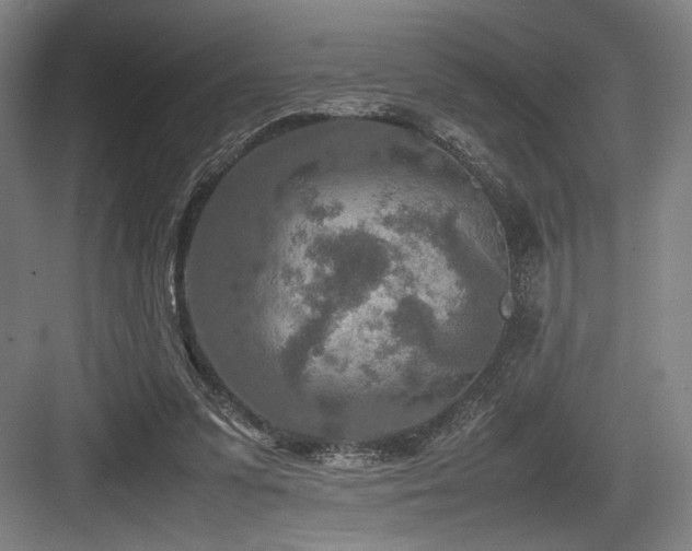 X0000083660303200702121223