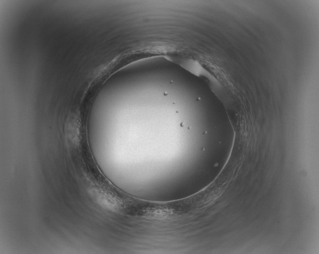 X0000083660304200702121223