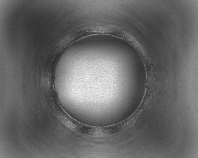 X0000083660305200702121223