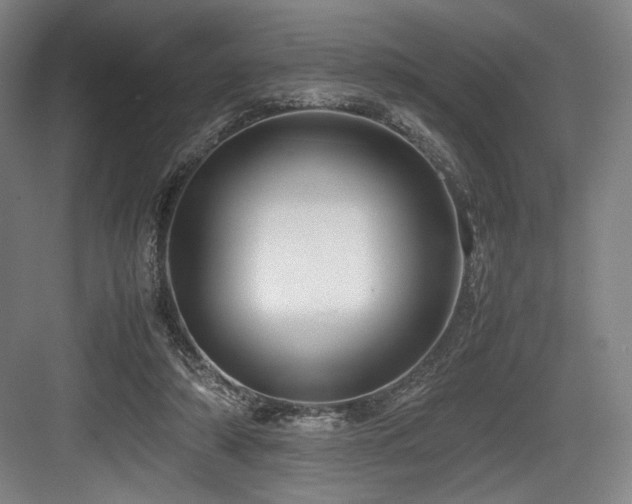 X0000083660306200702121223
