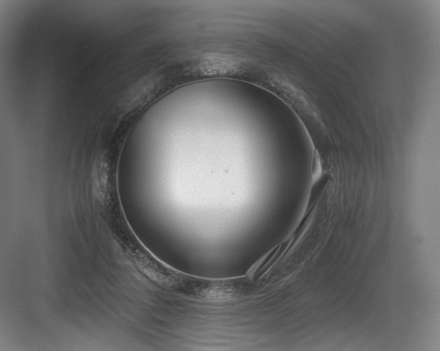 X0000083660308200702121223