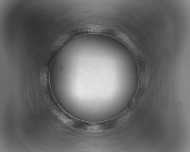 X0000083660309200702121223