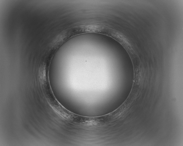 X0000083660310200702121223
