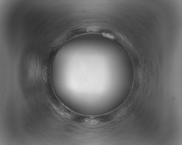 X0000083660311200702121223