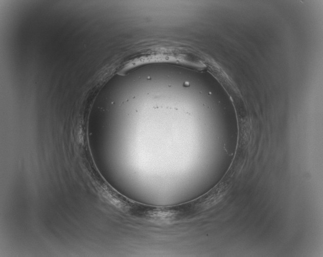 X0000083660313200702121223