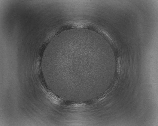 X0000083660314200702121223