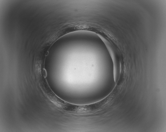 X0000083660315200702121223