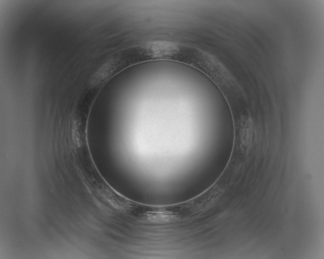 X0000083660316200702121223