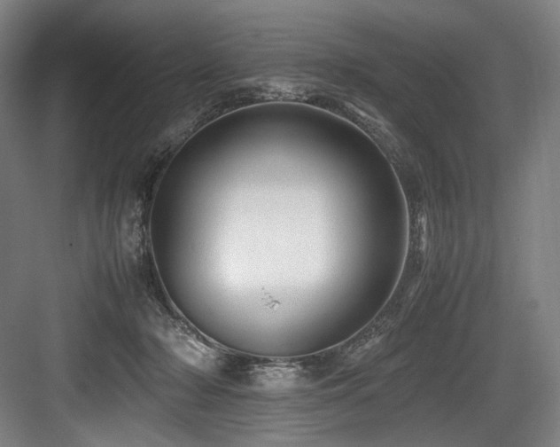 X0000083660318200702121222