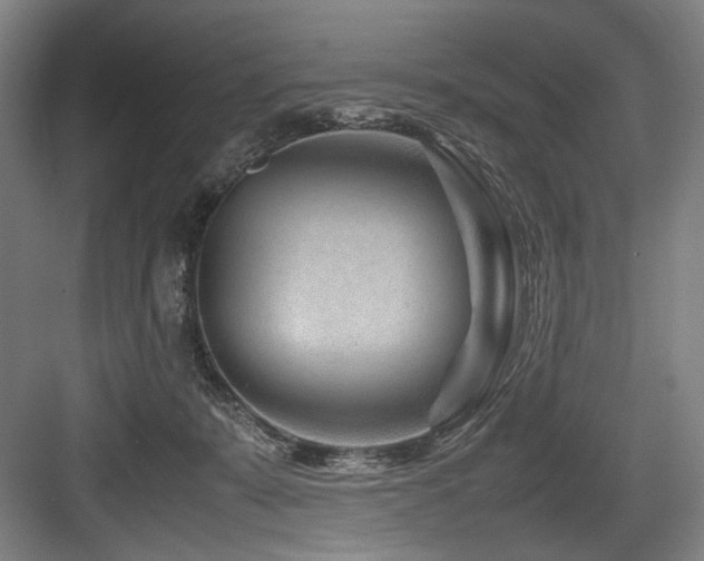 X0000083660319200702121222