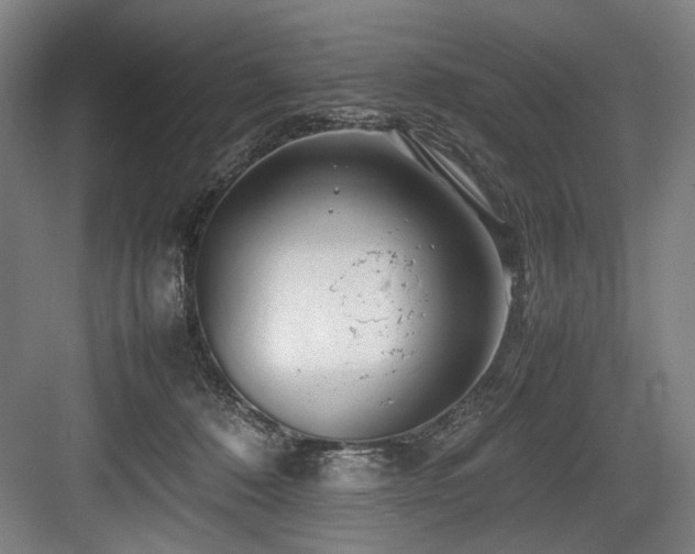 X0000083660320200702121222