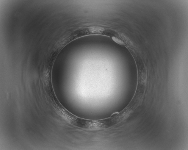 X0000083660321200702121222