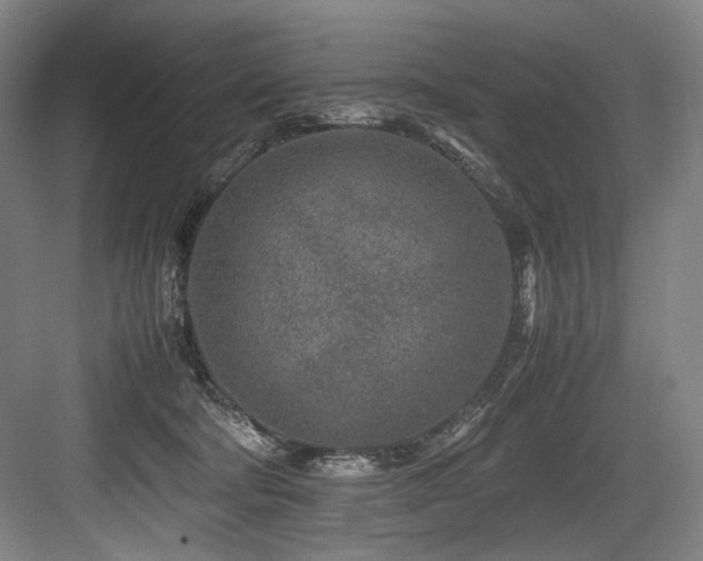 X0000083660322200702121222