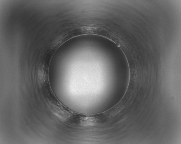 X0000083660324200702121222