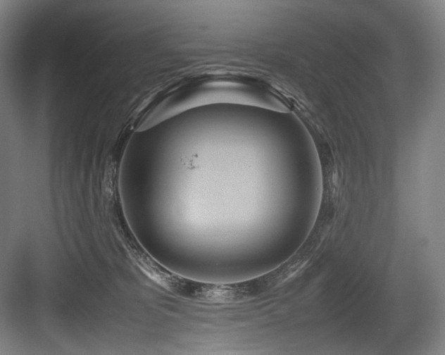 X0000083660325200702121222