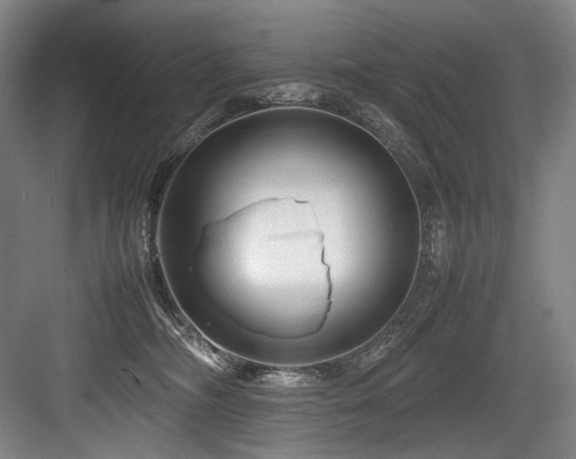 X0000083660326200702121222