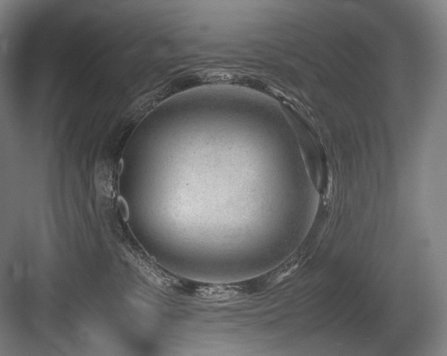 X0000083660331200702121222