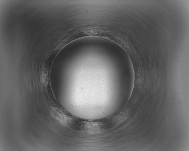 X0000083660332200702121222