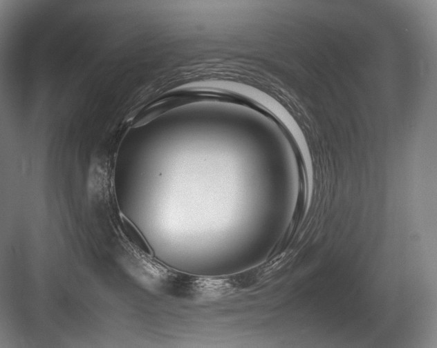 X0000083660333200702121222