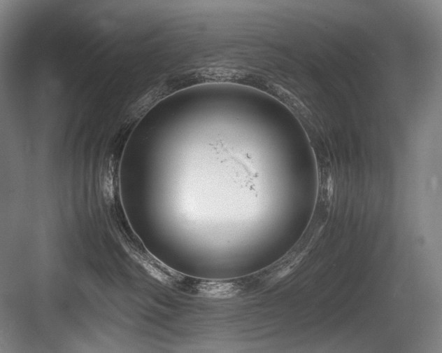 X0000083660334200702121222