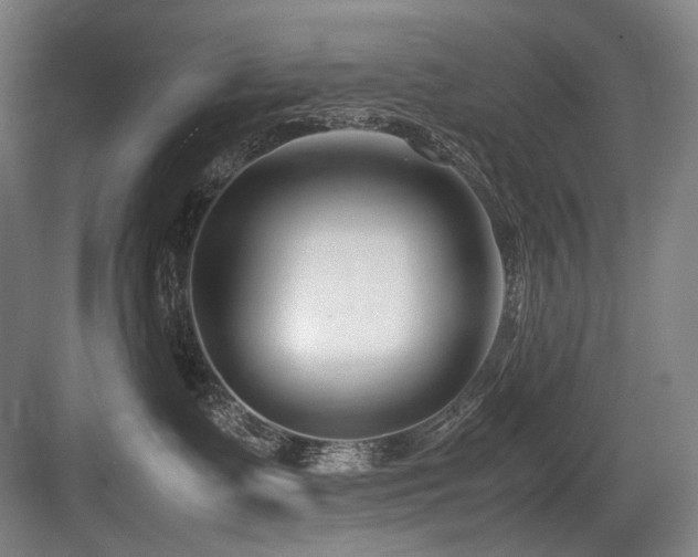 X0000083660335200702121222