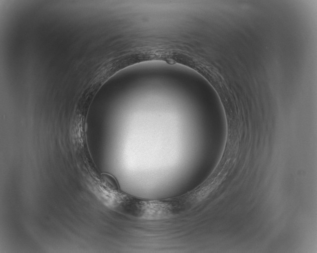X0000083660336200702121222
