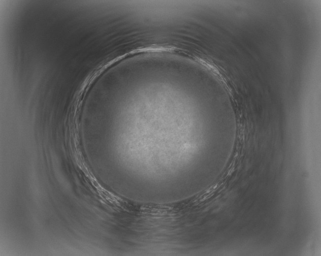 X0000083660337200702121221