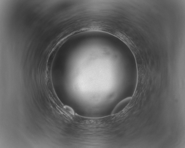 X0000083660338200702121221