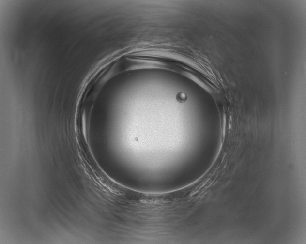 X0000083660340200702121221
