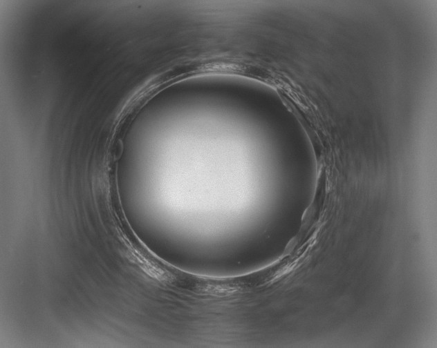 X0000083660341200702121221