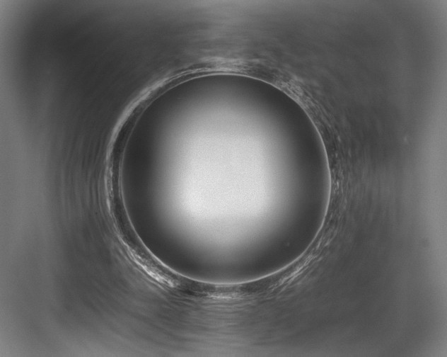 X0000083660342200702121221
