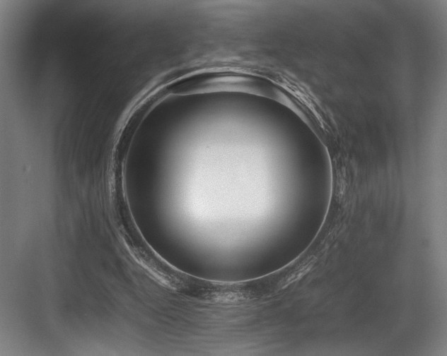 X0000083660344200702121221