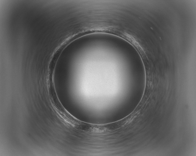 X0000083660346200702121222