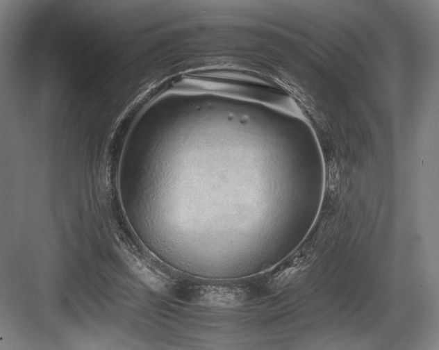 X0000083660347200702121222
