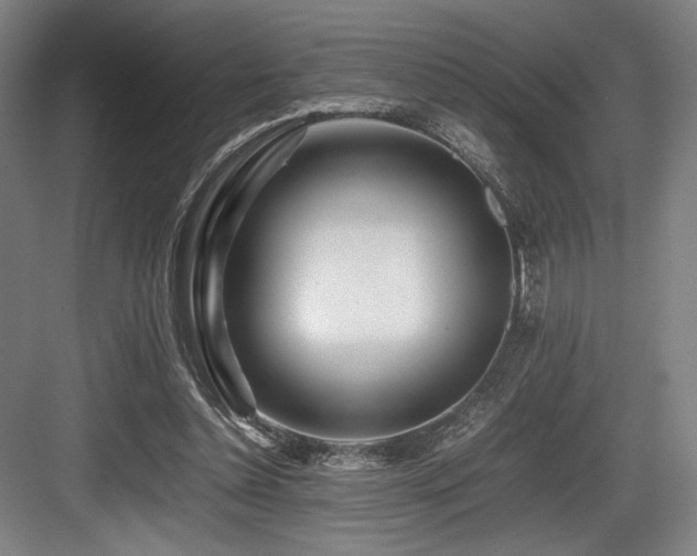 X0000083660348200702121222