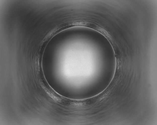 X0000083660349200702121222