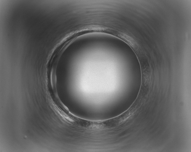 X0000083660350200702121222